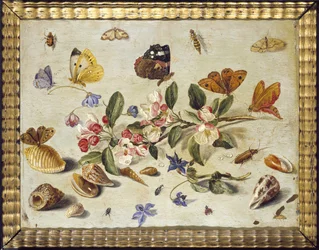 Et studie af blomster og insekter (olie på kobber)